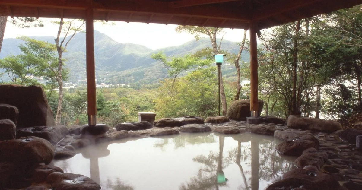 Senkyoro - Hotel with Bathtub in Hakone