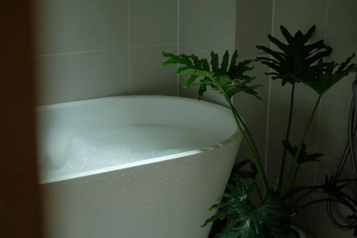 Hotels in New York with Bathtub