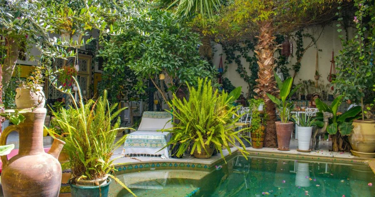Dar Souad - Hotel with Bathtub in Sidi Bou Said