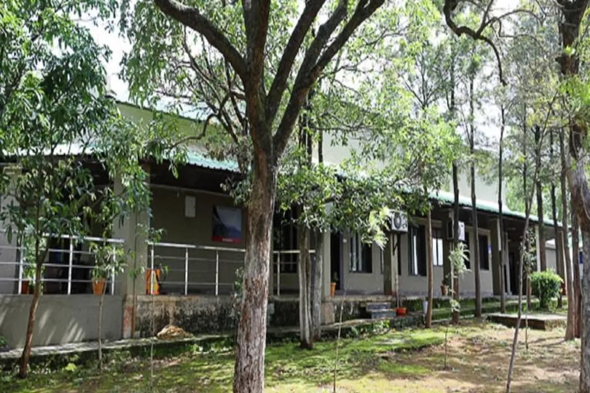MTDC Chikhaldara room view
