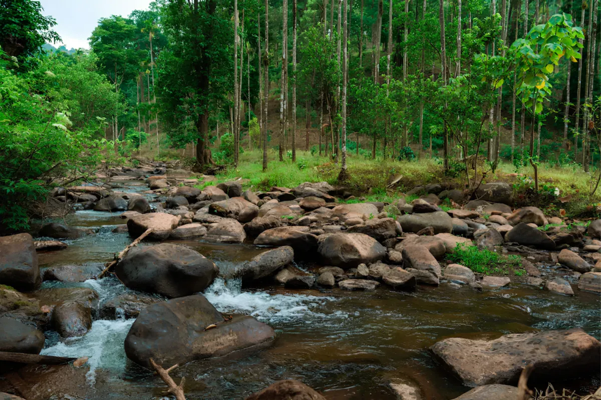 Nirvana Nature Kumta suite interior