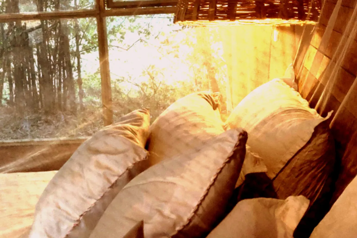 The Grass Walk Jungle Lodge suite interior