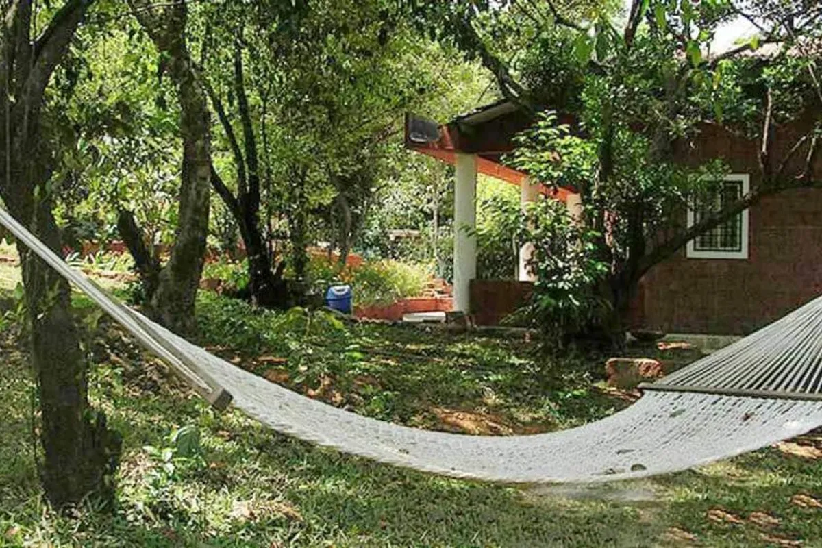 Whistling Woods Amboli property and ambiance